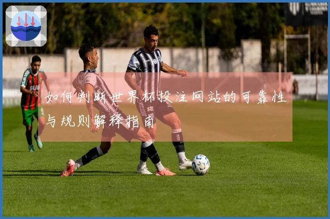 如何判断世界杯投注网站的可靠性与规则解释指南