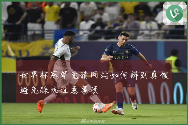 世界杯冠军竞猜网站如何辨别真假避免踩坑注意事项