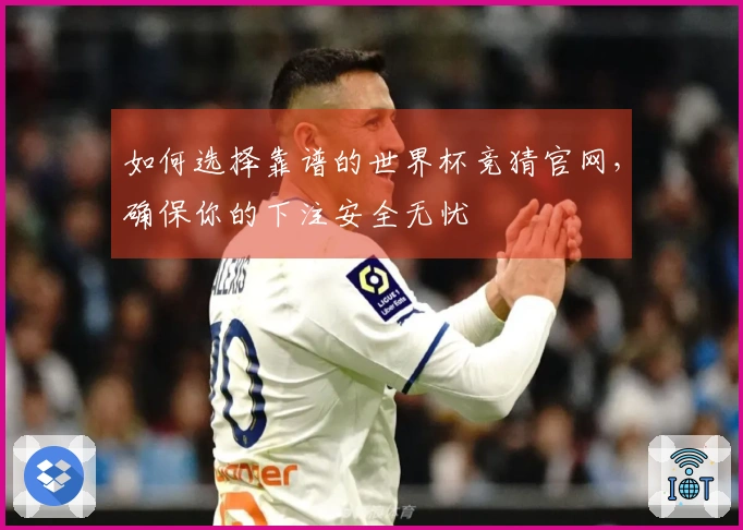 如何选择靠谱的世界杯竞猜官网，确保你的下注安全无忧