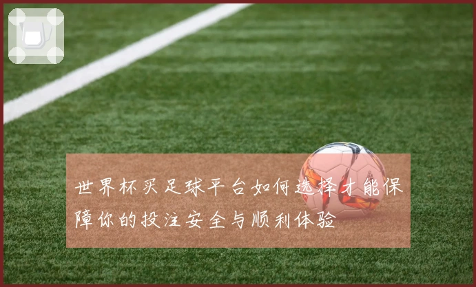 世界杯买足球平台如何选择才能保障你的投注安全与顺利体验