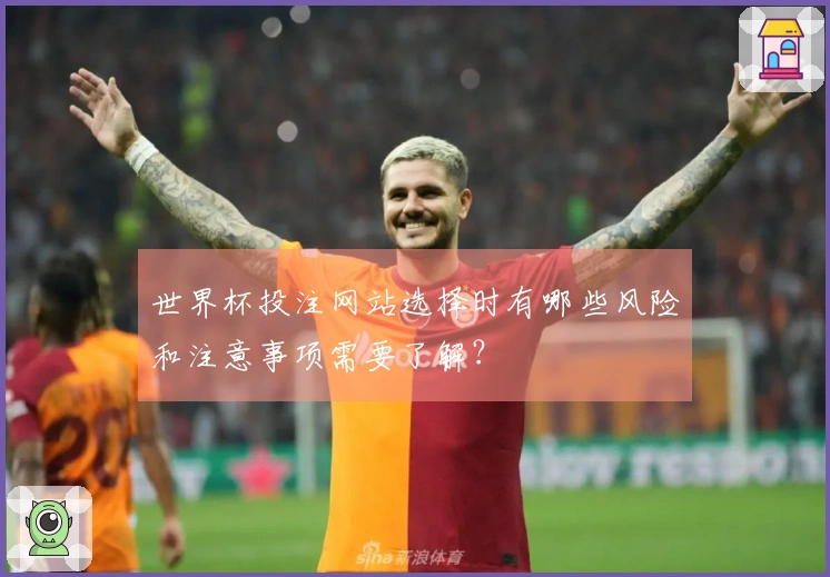 世界杯投注网站选择时有哪些风险和注意事项需要了解？