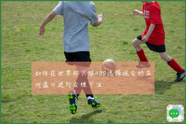 如何在世界杯买球app选择适合的亚洲盘口进行合理下注