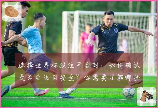 选择世界杯投注平台时，如何确认是否合法且安全？你需要了解哪些注意事项？