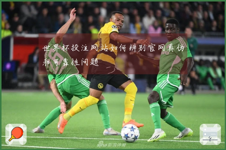 世界杯投注网站如何辨别官网真伪和可靠性问题