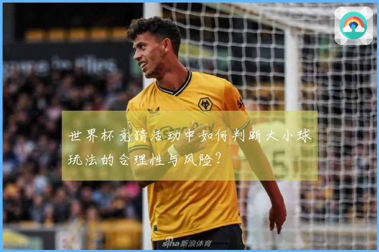 世界杯竞猜活动中如何判断大小球玩法的合理性与风险？