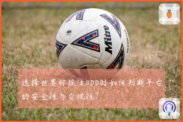 选择世界杯投注app时如何判断平台的安全性与合规性？