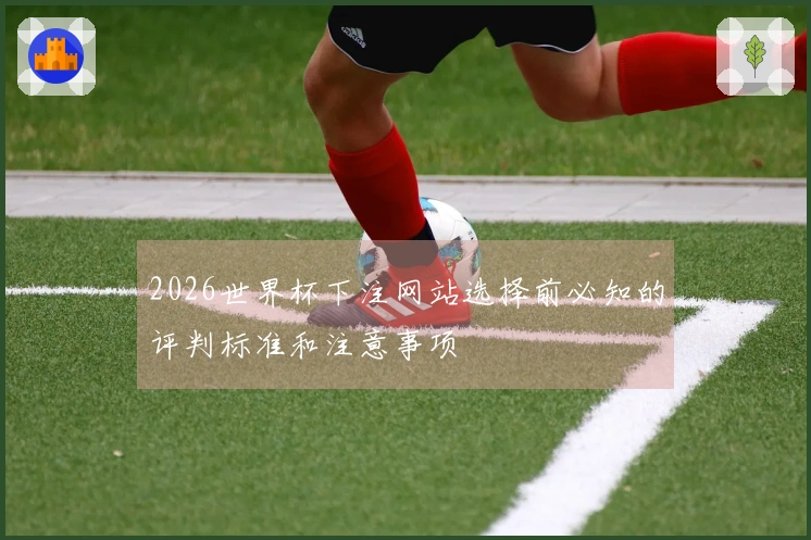 2026世界杯下注网站选择前必知的评判标准和注意事项