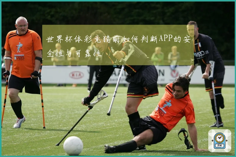 世界杯体彩竞猜前如何判断APP的安全性与可靠性