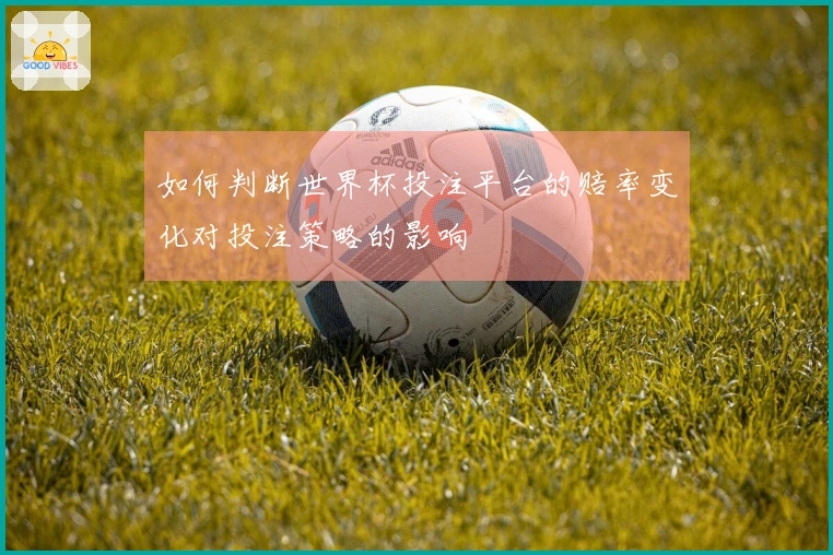 如何判断世界杯投注平台的赔率变化对投注策略的影响