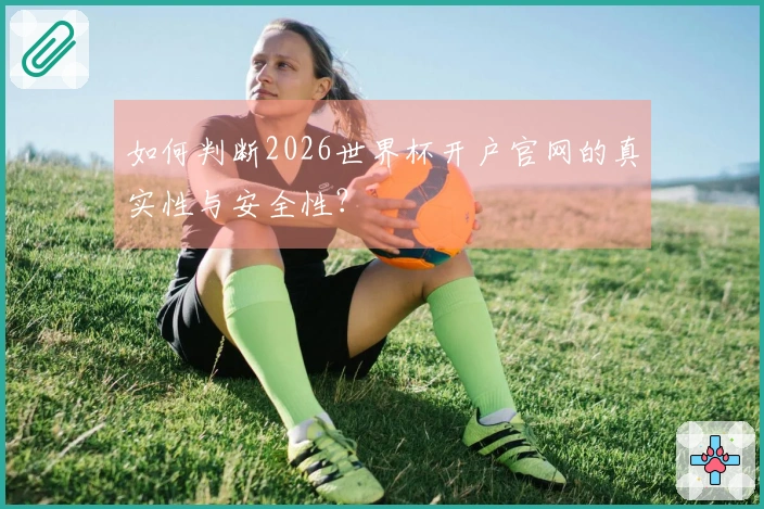 如何判断2026世界杯开户官网的真实性与安全性？