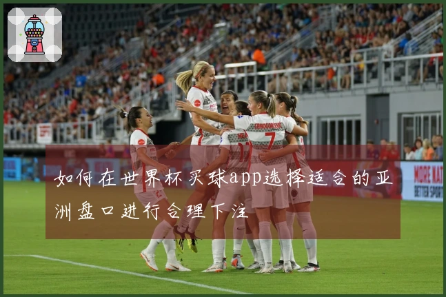 如何在世界杯买球app选择适合的亚洲盘口进行合理下注