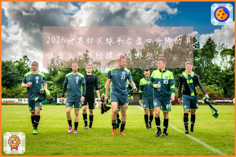 2026世界杯买球平台盘口升降的具体含义与风险提示有哪些？