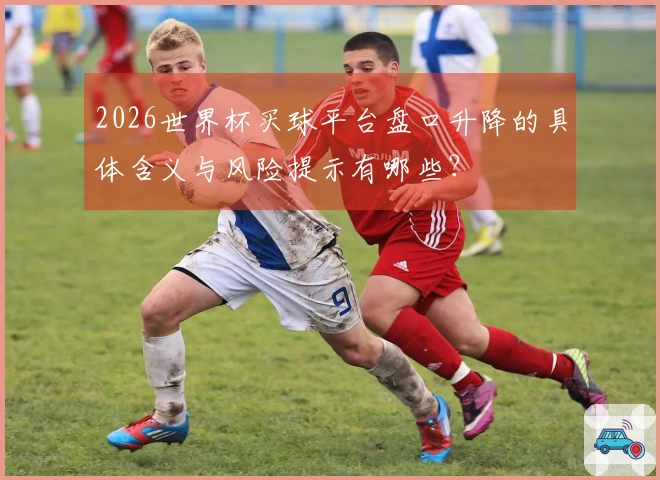 2026世界杯买球平台盘口升降的具体含义与风险提示有哪些？