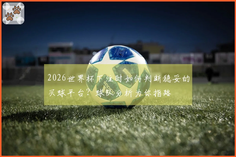 2026世界杯下注时如何判断稳妥的买球平台？球队分析为你指路