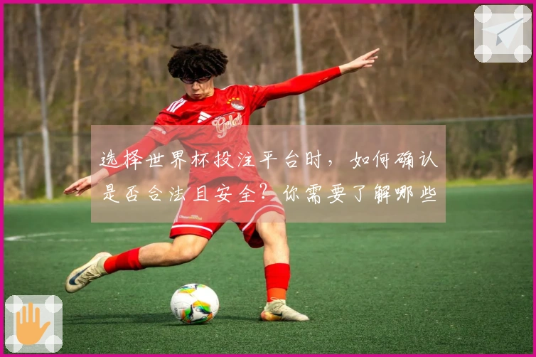 选择世界杯投注平台时，如何确认是否合法且安全？你需要了解哪些注意事项？